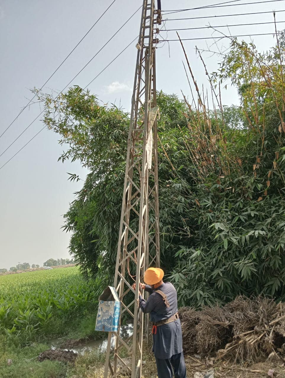 اسٹریٹ لائٹس کی تصویر 9